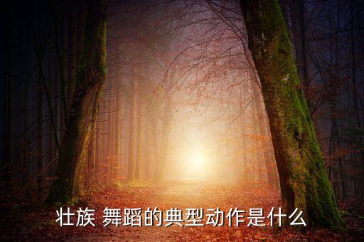 壮族 舞蹈的典型动作是什么