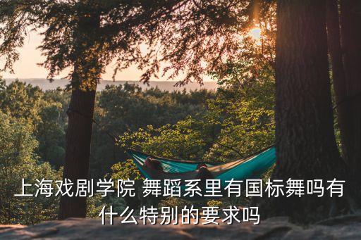 上海戏剧学院 舞蹈系里有国标舞吗有什么特别的要求吗