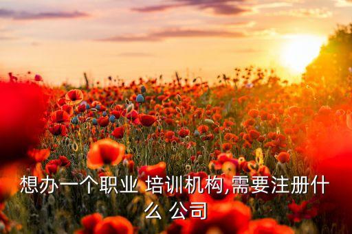 想办一个职业 培训机构,需要注册什么 公司