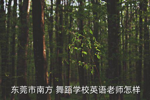  东莞市南方 舞蹈学校英语老师怎样