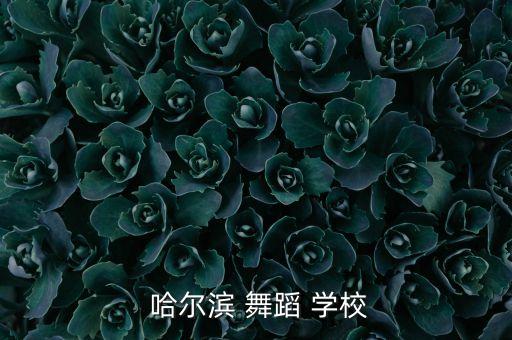  哈尔滨 舞蹈 学校