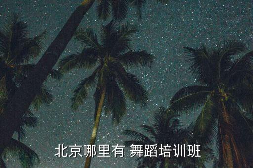  北京哪里有 舞蹈培训班