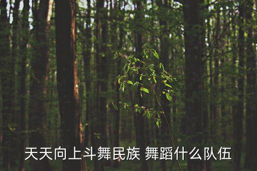 天天向上斗舞民族 舞蹈什么队伍