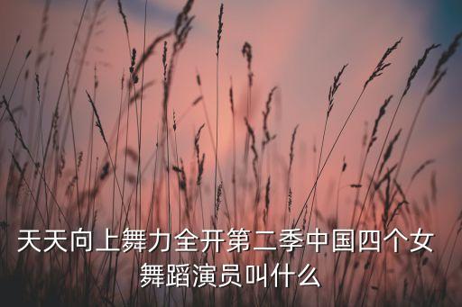 小花旦舞蹈视频,中国四小花旦登央视春晚舞蹈动作逼真
