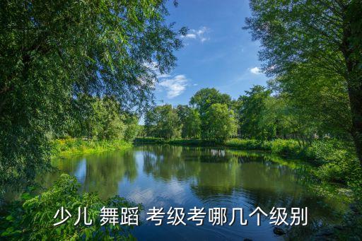 六级考级舞蹈跷跷板,北京舞蹈学院中国舞蹈培训系统出版教材