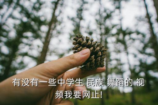 有没有一些中学生 民族 舞蹈的 视频我要网止!