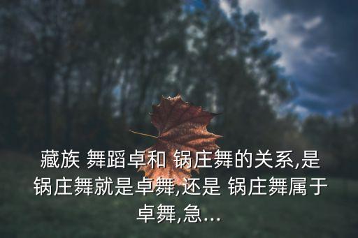  藏族 舞蹈卓和 锅庄舞的关系,是 锅庄舞就是卓舞,还是 锅庄舞属于卓舞,急...