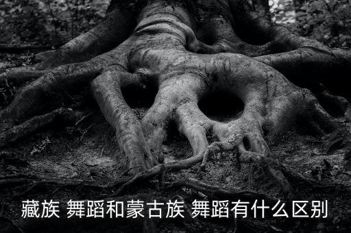 藏族 舞蹈和蒙古族 舞蹈有什么区别