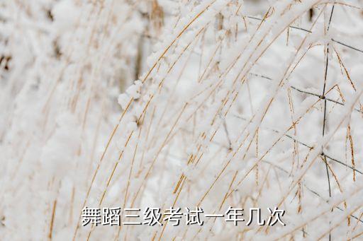2016年舞蹈考级时间,中国舞蹈学院附中课程一览