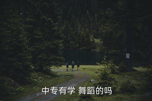  中专有学 舞蹈的吗