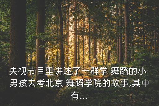 央视节目里讲述了一群学 舞蹈的小 男孩去考北京 舞蹈学院的故事,其中有...