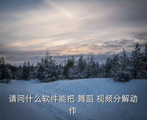 请问什么软件能把 舞蹈 视频分解动作