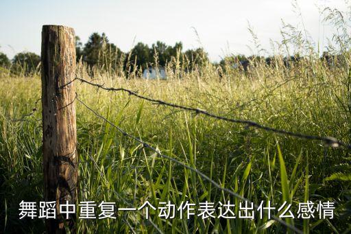 戏剧感人舞蹈,柬埔寨戏剧舞蹈动作以宫廷手势和动作为主体