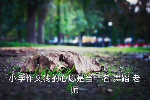 为什么选择当舞蹈老师,舞蹈系本科毕业生选择当老师