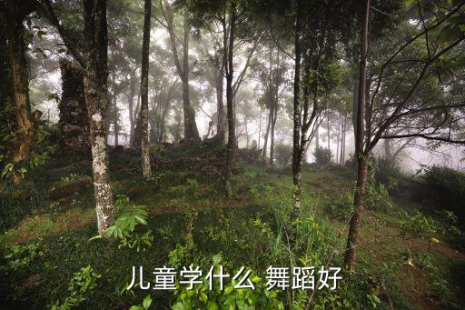 儿童学舞蹈学什么好,小孩学舞蹈好不好?
