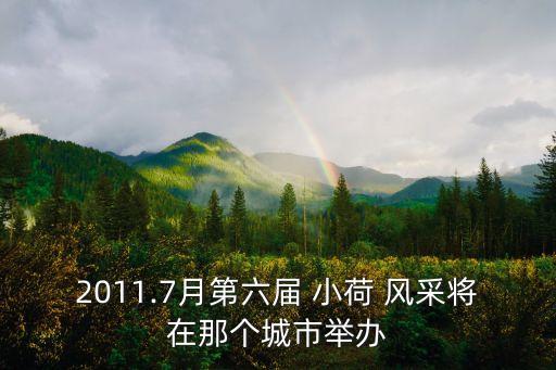 2011.7月第六届 小荷 风采将在那个城市举办
