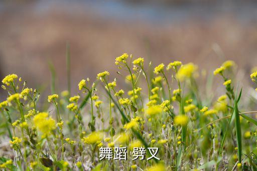  舞蹈 劈叉