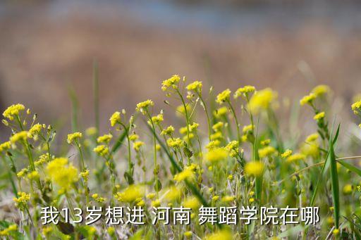 我13岁想进 河南 舞蹈学院在哪
