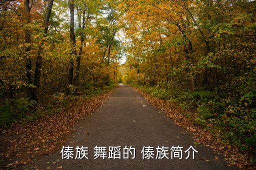  傣族 舞蹈的 傣族简介
