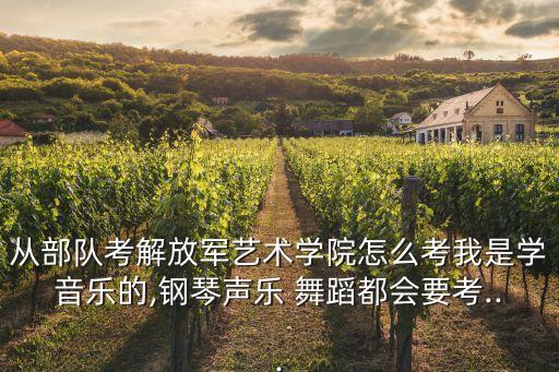 从部队考解放军艺术学院怎么考我是学音乐的,钢琴声乐 舞蹈都会要考...