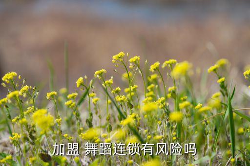 加盟 舞蹈连锁有风险吗
