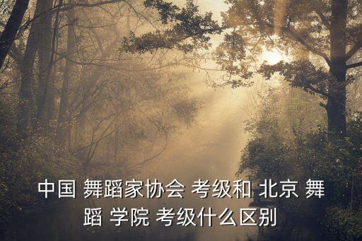 中国 舞蹈家协会 考级和 北京 舞蹈 学院 考级什么区别