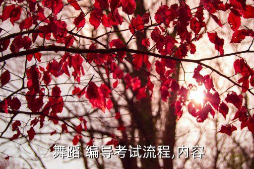 舞蹈编导技巧,舞蹈编导专业基础训练与培训
