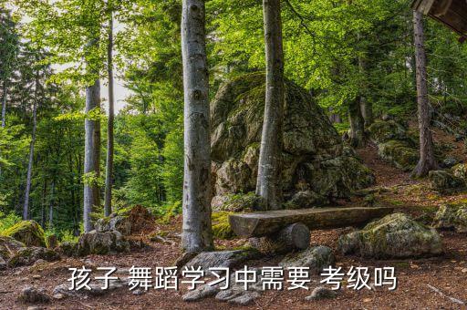 孩子 舞蹈学习中需要 考级吗