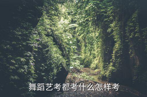 舞蹈艺考生技术技巧,中国舞蹈考试内容包括基本功和技术测试