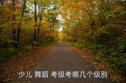 少儿 舞蹈 考级考哪几个级别