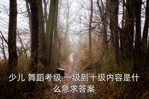 一级10个儿童舞蹈视频下载,中国舞蹈考试等级表