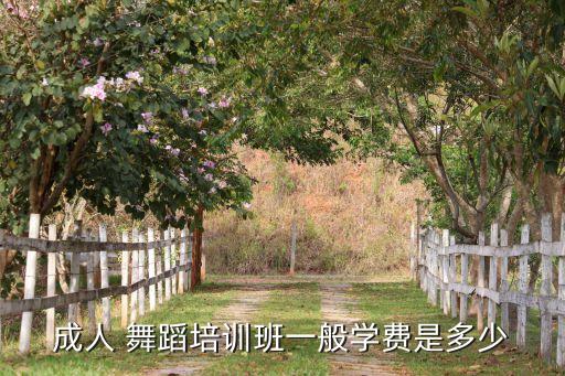 成人 舞蹈培训班一般学费是多少