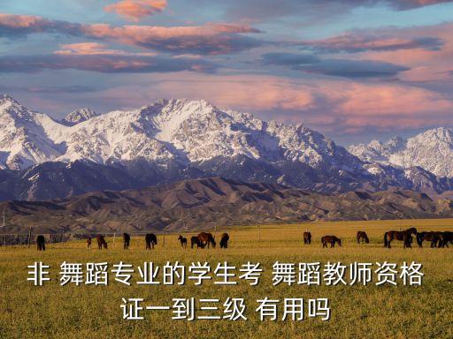 非 舞蹈专业的学生考 舞蹈教师资格证一到三级 有用吗