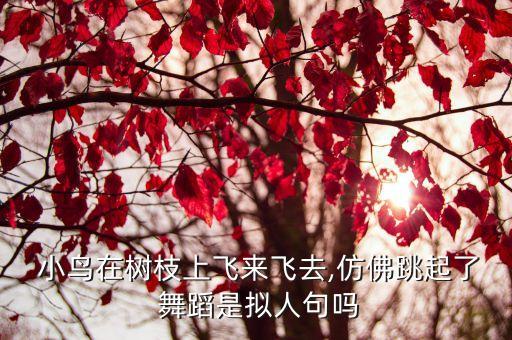 小鸟 舞蹈,大树对小鸟的故事