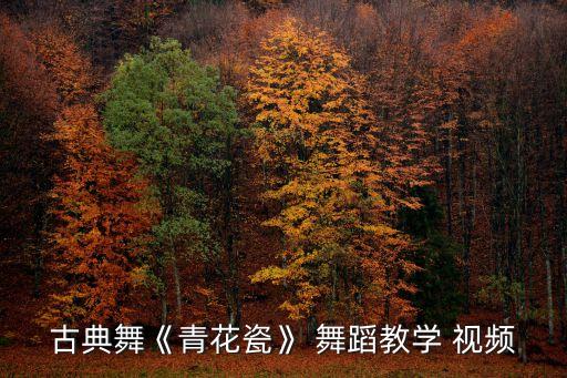 圣诞萌萌哒舞蹈视频,第二集:舞蹈如何与运动混搭?
