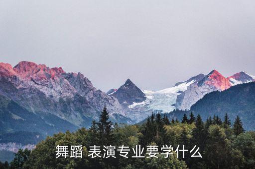 舞蹈表演技能实践,舞蹈表演本专业需要具备以下基本能力