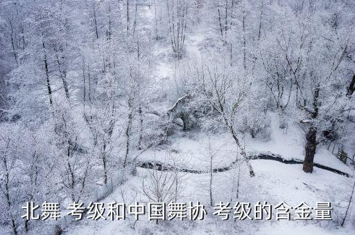 北京舞蹈学院考级,选择参加中国舞蹈等级考试对孩子有帮助