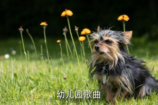 虫儿飞 舞蹈 视频,《爱上幼儿园》第一集第一首儿歌