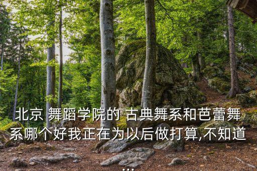 北舞古典舞蹈老师的讲座,北舞of古典舞蹈教学专业，