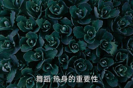  舞蹈 热身的重要性