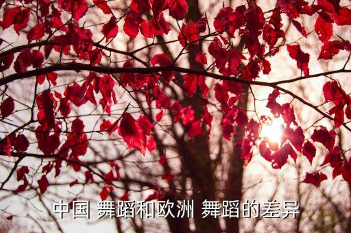 中国与西方舞蹈的相同点,中国舞蹈柔软才是美!