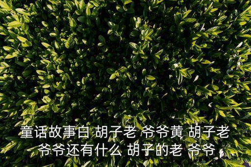 童话故事白 胡子老 爷爷黄 胡子老 爷爷还有什么 胡子的老 爷爷