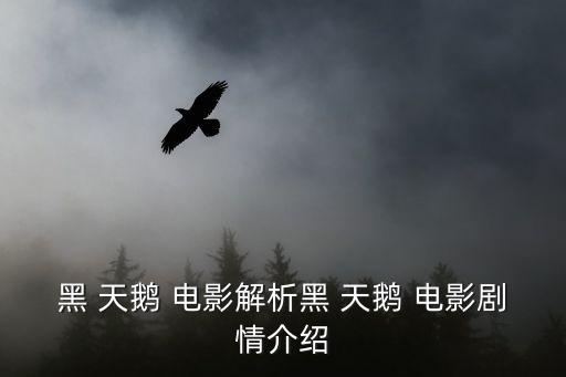 黑 天鹅 电影解析黑 天鹅 电影剧情介绍