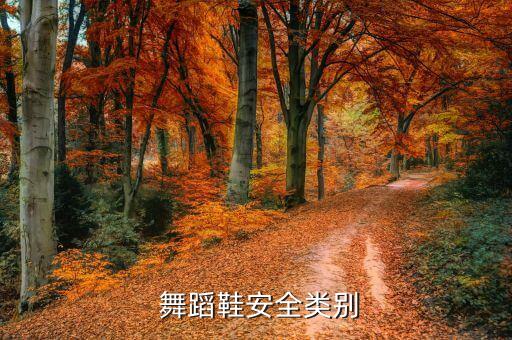  舞蹈鞋安全类别