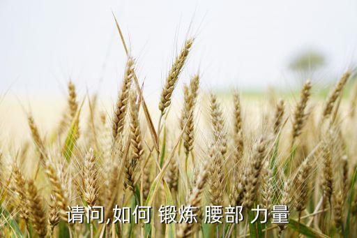 请问,如何 锻炼 腰部 力量