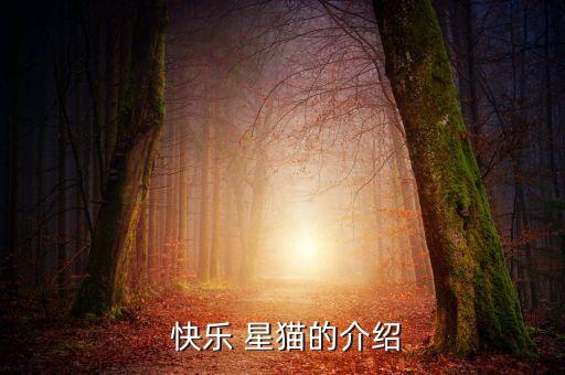 儿童舞蹈快乐星猫,快乐星猫"系列动画定位于5至10岁儿童