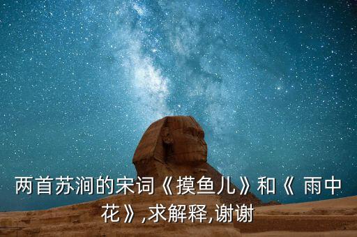 雨中花舞蹈,马来西亚狂风暴雨成灾民众生命受威胁