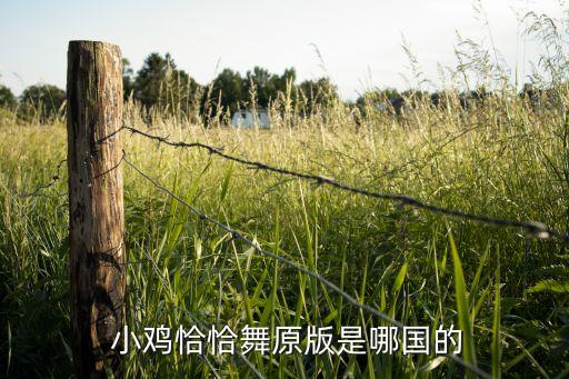  小鸡恰恰舞原版是哪国的