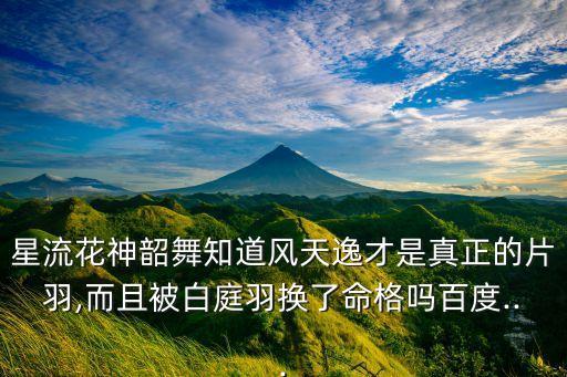 郑州市花羽舞蹈团,杨佩是流浪花神的祸害