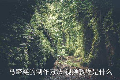小马蹄舞蹈视频,马蹄粉和生粉浆做法一文看懂
